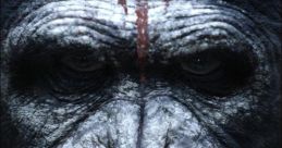 Dawn of The Planet of The Apes Teaser