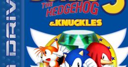 Sonic 3 - Knuckles In game 