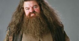 Hagrid Hagrid and effects to download and play.