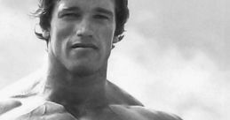 Arnold Arnold and effects to download and play.