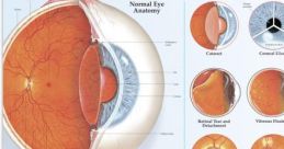 Eye Eye and effects to download and play.