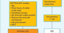 Hcm Hcm and effects to download and play.