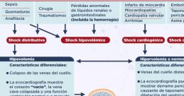 Shock Shock and effects to download and play.