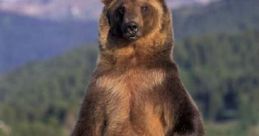 Grizzly bear standing tall in a lush green meadow with mountains in the background, showcasing its majestic stature.