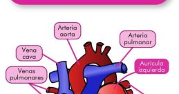 Corazon Corazon and effects to download and play.