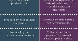 Semen Semen and effects to download and play.