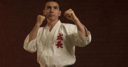 Karate Karate and effects to download and play.