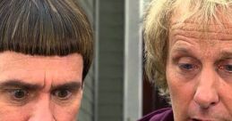 Lloyd and Harry looking confused, embodying the comedic chaos of "Dumb and Dumber" with iconic hairstyles.