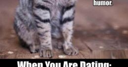 Playful cat and dog meme about humor in dating, showcasing funny expressions and witty captions for entertainment.