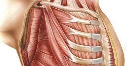 Thorax Thorax and effects to download and play.