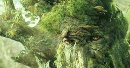 Ents Lord Of The Rings The haunting melody of the violin fills the air, echoing through the ancient trees of Fangorn Forest.