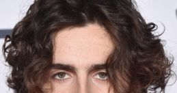 Timothee Chalamet Ai L Imagine being on set with Timothee Chalamet Ai L and hearing the of laughter echoing all around. His