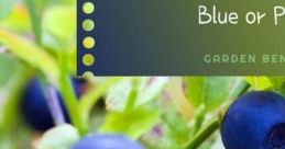 Blueberries Are Purple Soundboard