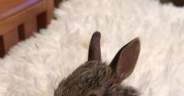 Cottontail In Distress "The Thing" emits a strange and eerie reminiscent of a creature in distress. The low, guttural tones