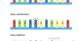 Genetic Genetics is a fascinating field that delves into the study of heredity and variation in living organisms. As we