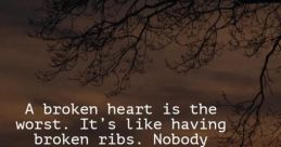 Broken Heart The Broken Window Serenade echoes through the empty room, the haunting melody of shattered glass punctuating