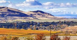 Scenic Walla Walla vineyard landscape showcasing vibrant fall colors and rolling hills under a clear blue sky.