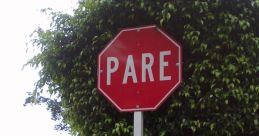 Pare "Fala, Pareto! Did you hear that? The of someone calling out for attention, asking you to stop and listen. It's a