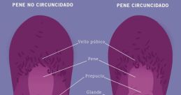 Pene You can play and download a variety of related to the subject of Pene, including phrases like "Nos han metido el