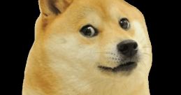 Doge If you're a fan of the Doge meme, you must be familiar with the iconic "Screech doge" that accompanies the cute