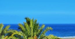 Canaria Nestled in the heart of the Canarian archipelago, the island of Canaria is known for its stunning landscapes,