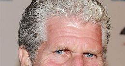 Ron Perlman at an event, showcasing his signature look and distinctive hairstyle, capturing his rugged charm and charisma.