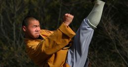 Shaolin In the world of Shaolin, the of the Shaolin Soccer Theme resonates deeply. As the begins to play, a sense of power