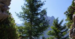 Steep The of the wind whipping through the crisp mountain air creates a soothing symphony as you traverse the alpine slopes