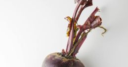 Beet You can find a wide range of that are related to the subject of beet. From classic by Beethoven to catchy tunes