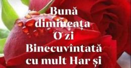 Buna Dimineata The of "Buna dimineata, Buna Dimineata" resonate through the air, bringing a sense of greeting and warmth to