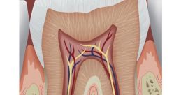 Tooth The of toothbrushes buzzing in the morning is a familiar one to most people. The bristles moving back and forth