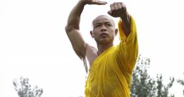 Kung-Fu The of a "Patada voladora kung fu" echoes through the training hall, the swift and powerful kick reverberating