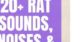 Rat Noise Rats are known for their distinct noises that they make, from gentle coos to aggressive barks. One of the most