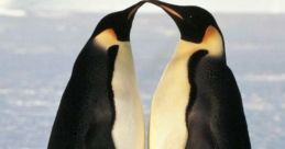 Los,Penguins Soundboard