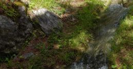 Clear water flows over rocks and grass in a tranquil natural setting, showcasing the beauty of a serene stream.