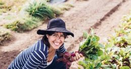 Harvest The soft strains of "Intro Harvest Moon" fill the air, signaling the start of another bountiful harvest season. As