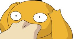 Psyduck The distinct of "Psyduck, Psyduck" can often be heard echoing through the Kanto region. These words seem to be