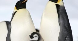 Pingui Soundboard
