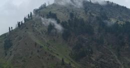 Naran The of Naran are deeply embedded in the essence of nature, echoing through the lush green hills and serene valleys.