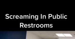 Screaming In Public Restrooms Prank Pranks have long been a popular form of entertainment for those looking to get a laugh