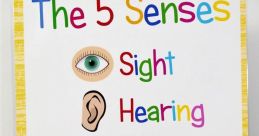 Senses When we think about our senses, we often focus on sight, taste, touch, and smell. However, is also a crucial part of