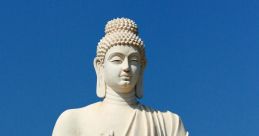 Buda If you're looking for a unique mix of related to the subject of Buda, you've come to the right place. From the