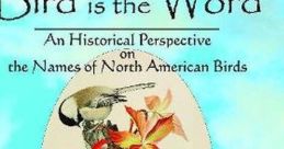 Bird Is The Word As we delve into the realm of bird , one cannot help but think of the iconic phrase "Bird is the Word".