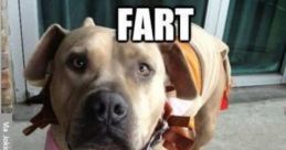 Fart al farts are perhaps one of the most intriguing that the human body can produce. With a variety of tones, pitches,