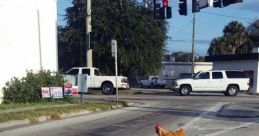 A chicken confidently crosses the street with a humorous caption about waiting for this moment in life.