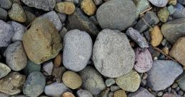 Colorful assortment of smooth pebbles and stones, showcasing natural textures and earthy tones in a rocky landscape.