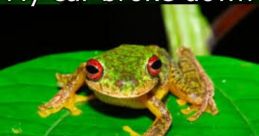 Meme Frog Soundboard