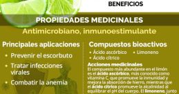 Limon benefits infographic highlighting medicinal properties, consumption methods, and bioactive compounds for health.