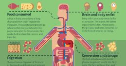 Your Fat The first that echoes in the room is a sharp slap. It reverberates off the walls, punctuated by a sharp intake