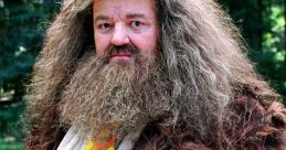 Rubeus Hagrid in a shaggy brown coat with a polka dot tie, standing in a lush forest setting, exuding warmth and magic.